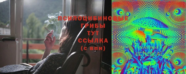 прущий лед Алексеевка