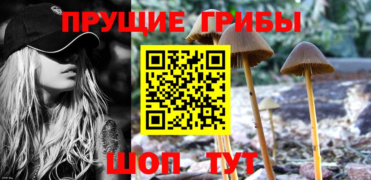 Галлюциногенные грибы Cubensis  Вход с VPN  Ишим 