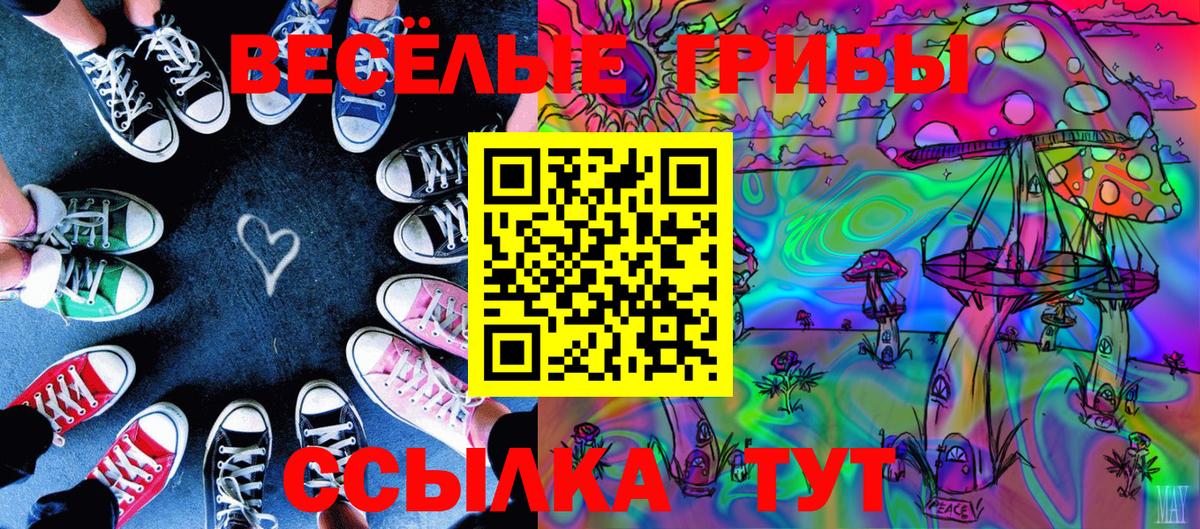 Псилоцибиновые грибы мухоморы Ишим